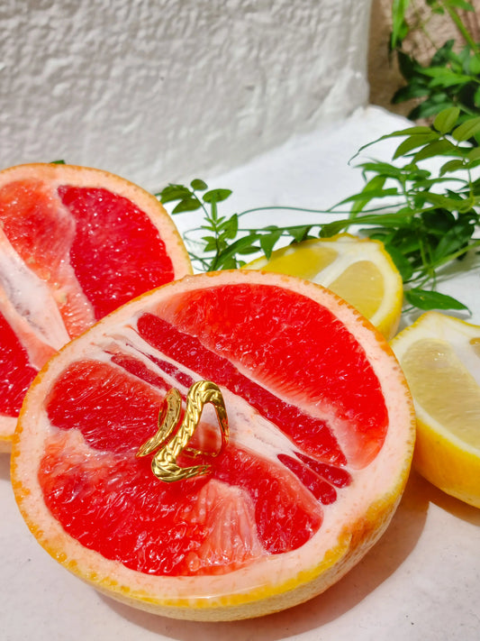 Bague CamĂ©liaâšïž